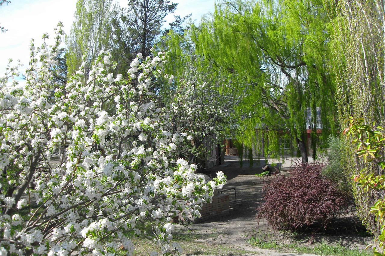 La Casona Del Rio Hotell Trelew Eksteriør bilde